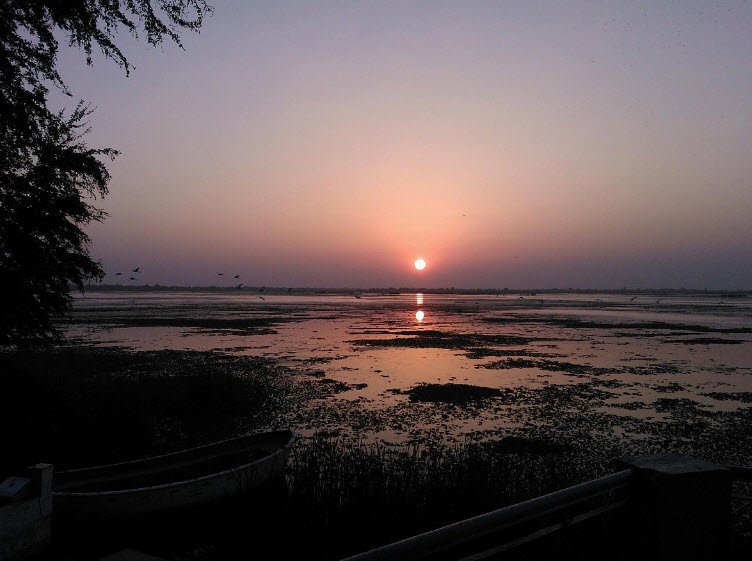 Para Lake, Mehsana, Gujarat - Vushii.com